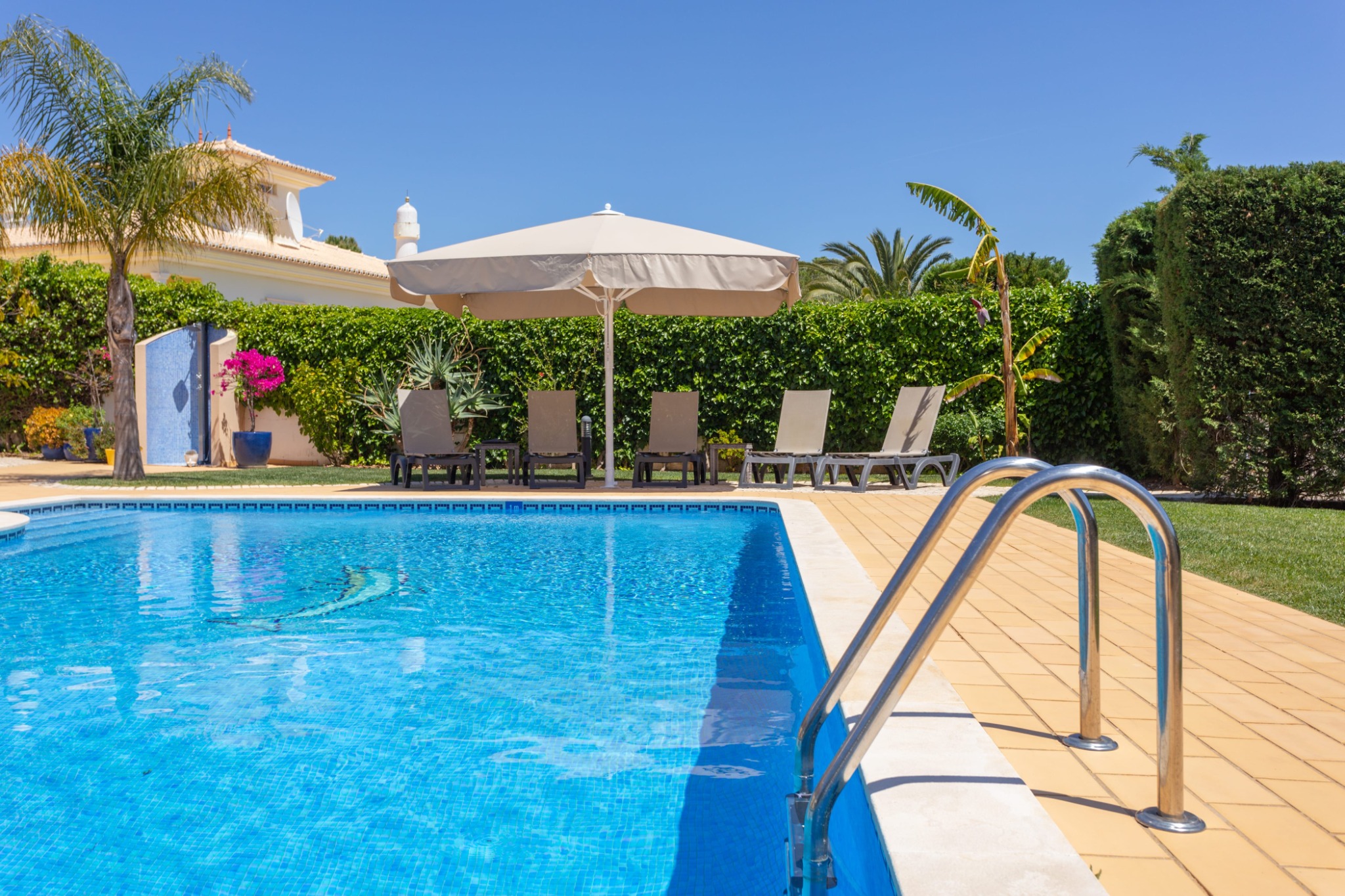 Sunny backyard swimming pool with loungers and palm trees