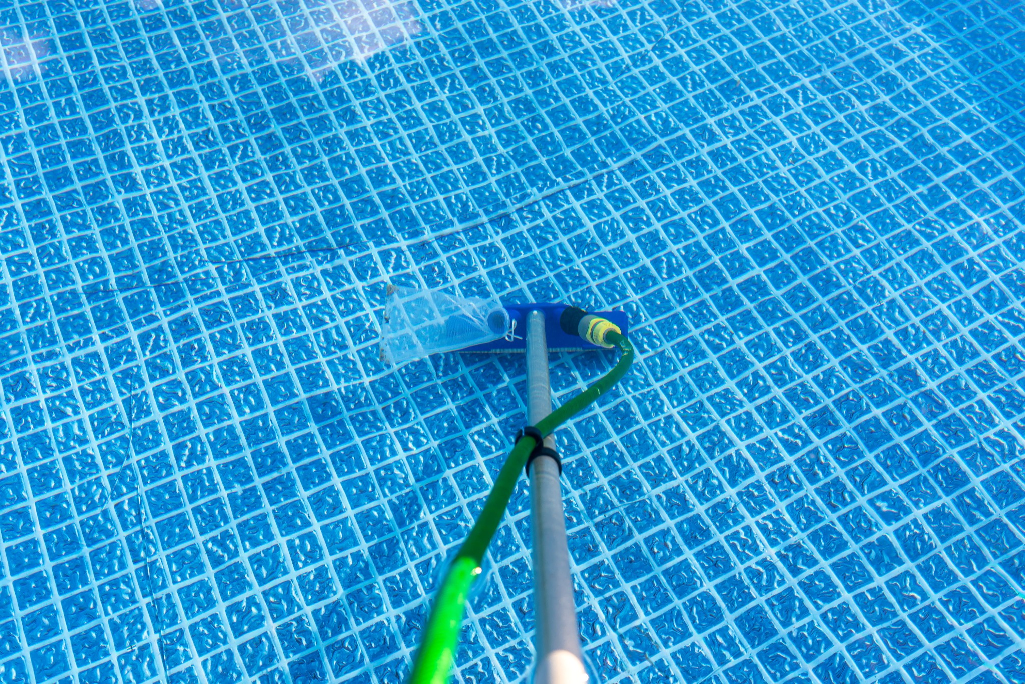 Vacuum head cleaning a blue tiled swimming pool
