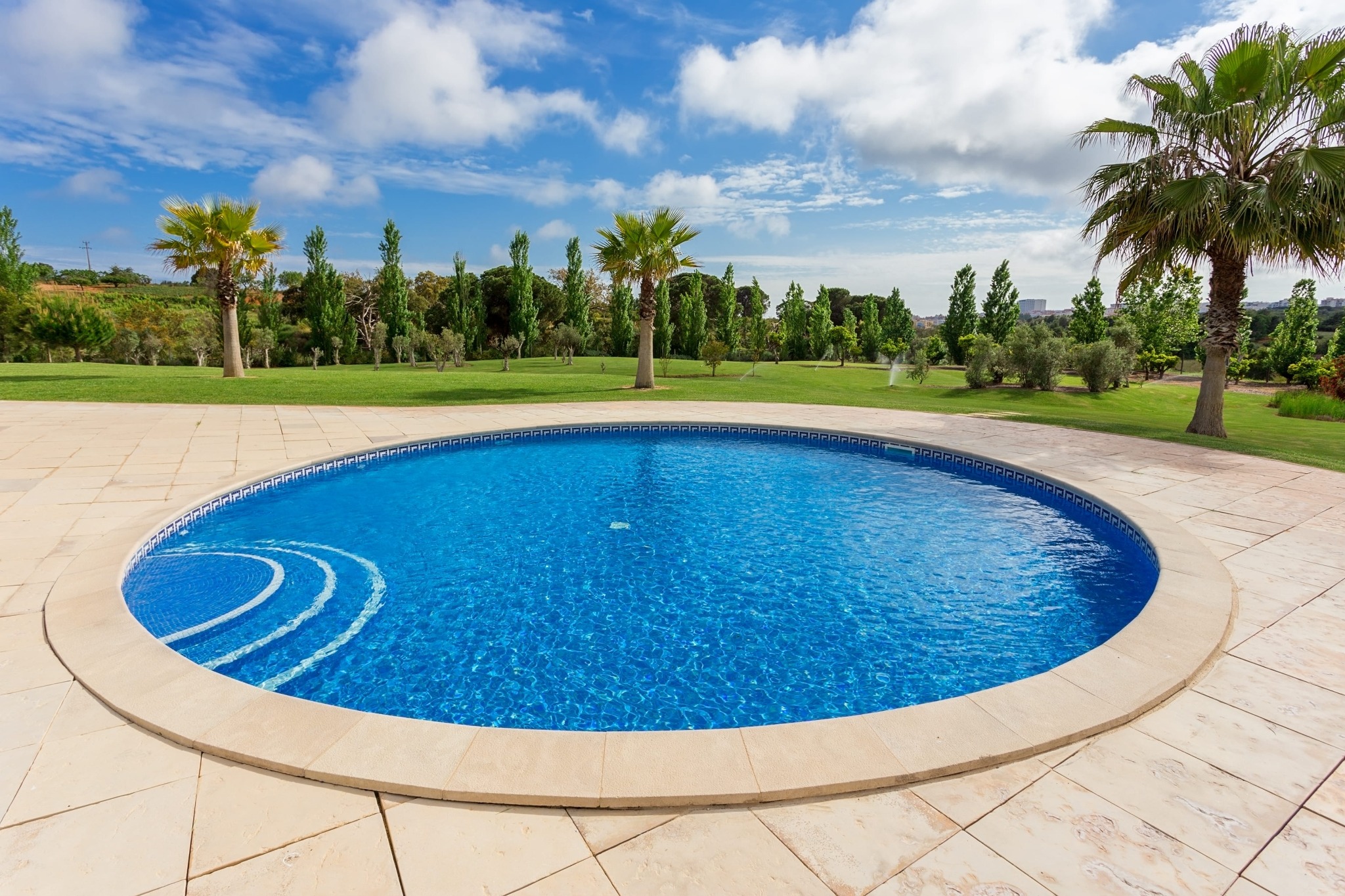 Curved blue swimming pool surrounded by palms and green lawn